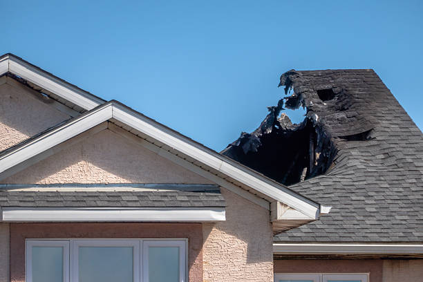 Top rated local Fire Damage Removal specialists in Buckeystown, MD